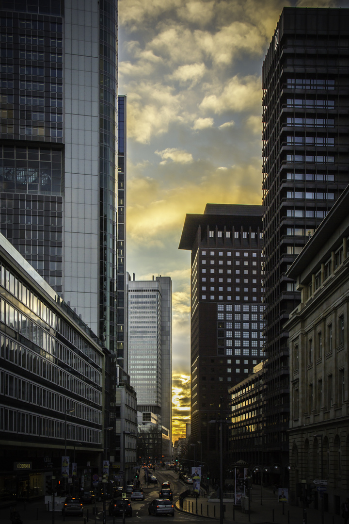 "Frankfurt City Sunset"