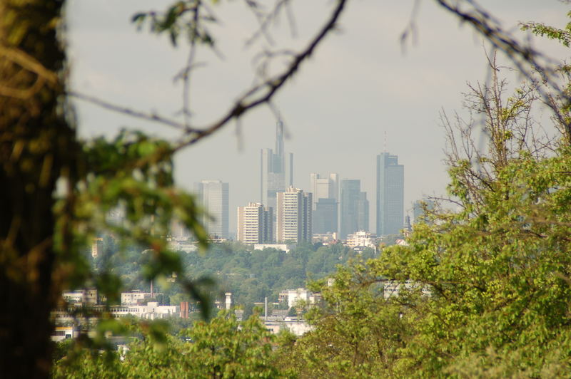 frankfurt durch bäume