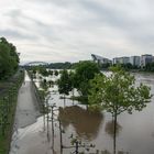 Frankfurt: EZB mit Hochwasser an der Weseler Werft im Juni 2013
