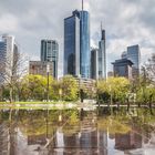 Frankfurt gespiegelt