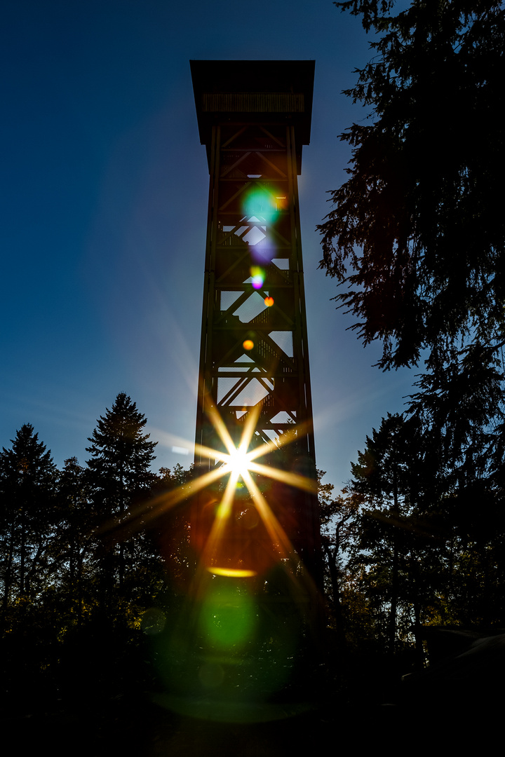 FRANKFURT GOETHETURM #1