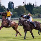 Frankfurt Gold Cup 2013 - 01