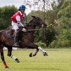 Frankfurt Gold Cup 2013 - 02