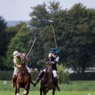 Frankfurt Gold Cup 2013 - 05