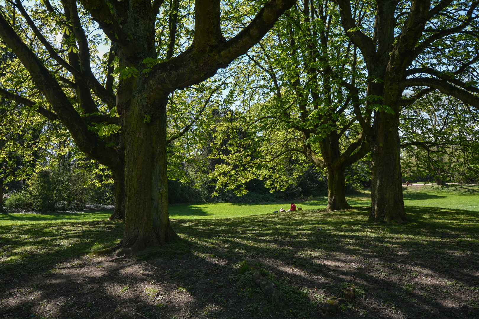 Frankfurt: Grüneburgpark im Frühling