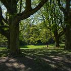 Frankfurt: Grüneburgpark im Frühling