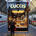 Frankfurt Hauptbahnhof mit ICE