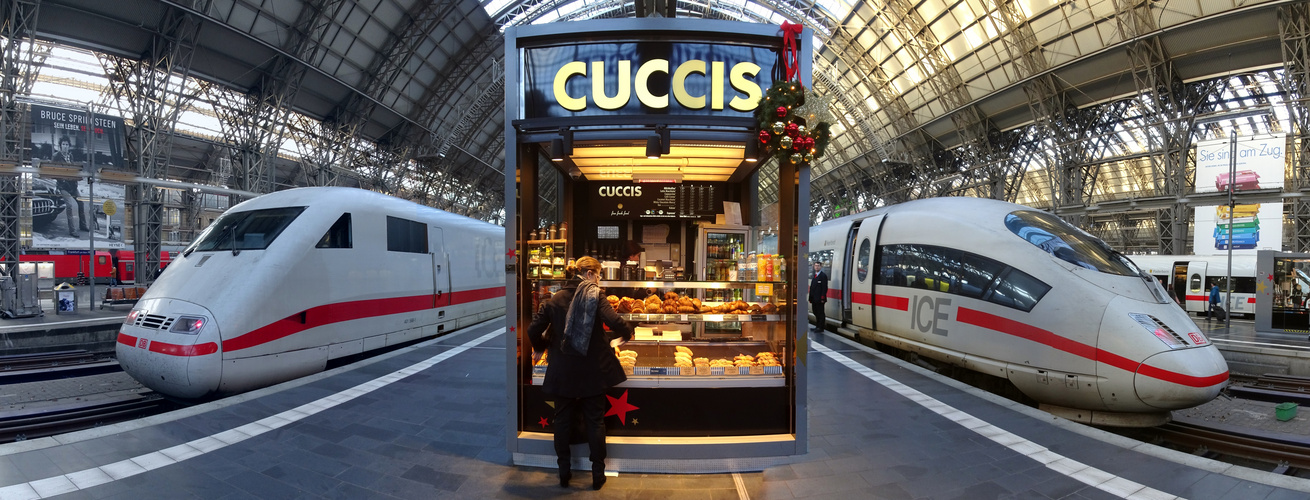 Frankfurt Hauptbahnhof mit ICE