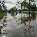 Frankfurt: Hochwasser an der Weseler Werft im Juni 2013