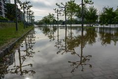 Frankfurt: Hochwasser an der Weseler Werft im Juni 2013