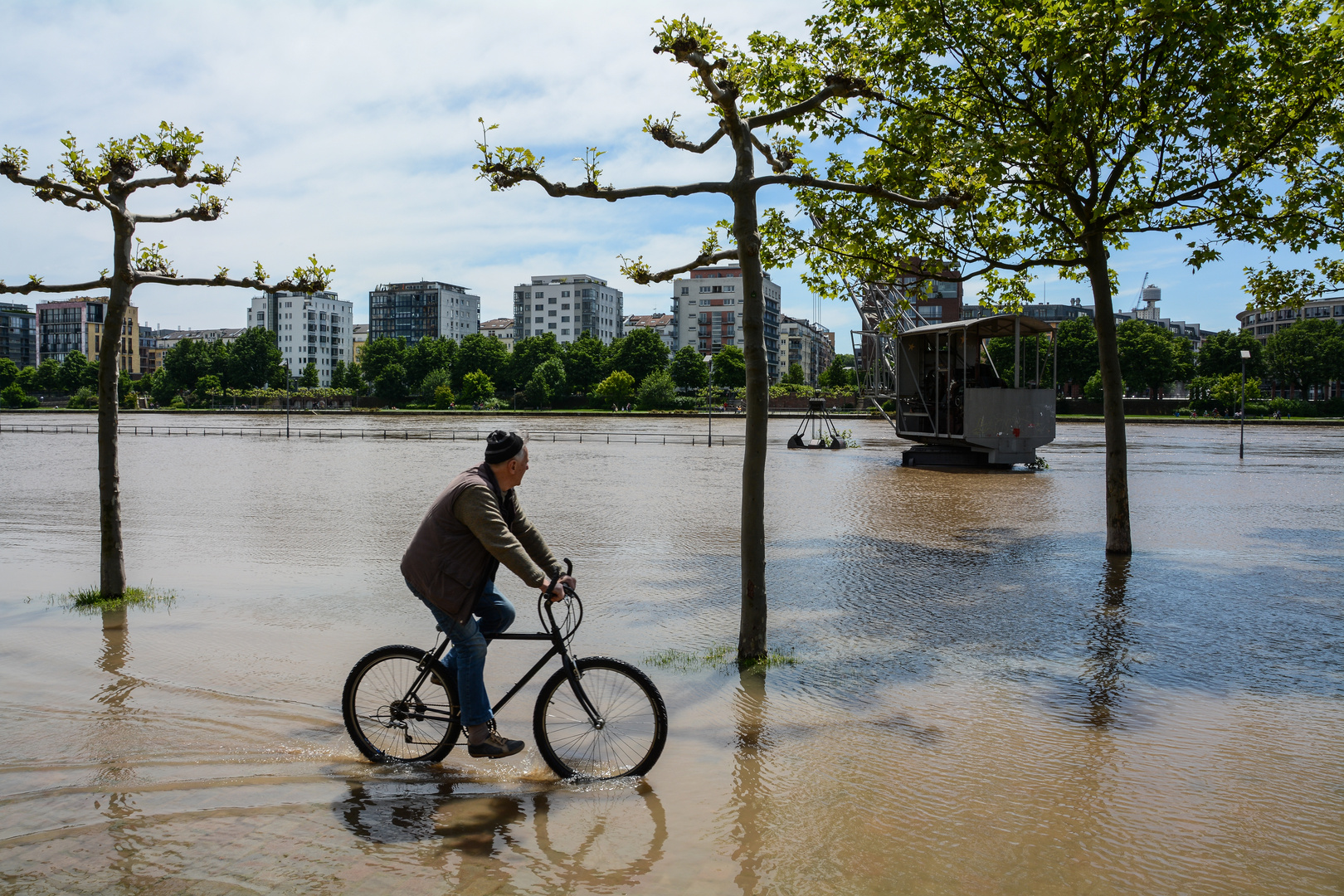 Frankfurt: Hochwasser Juni 2013 an der Weseler Werft