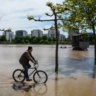 Frankfurt: Hochwasser Juni 2013 an der Weseler Werft