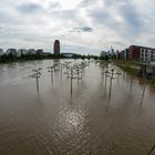 Frankfurt Hochwasser Juni 2013 an der Weseler Werft