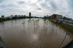 Frankfurt Hochwasser Juni 2013 an der Weseler Werft