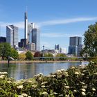 Frankfurt im Frühling