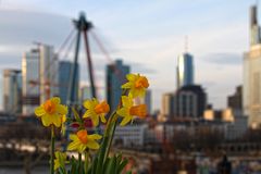 Frankfurt im Frühling