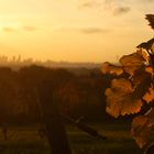 Frankfurt im Herbst