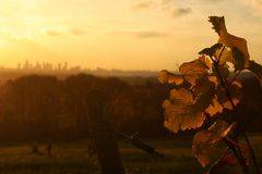 Frankfurt im Herbst