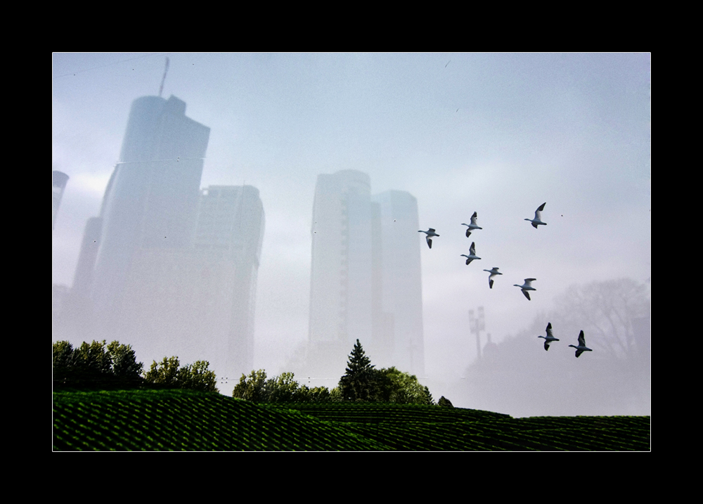 Frankfurt im Morgennebel