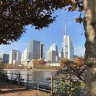 Frankfurt im November 