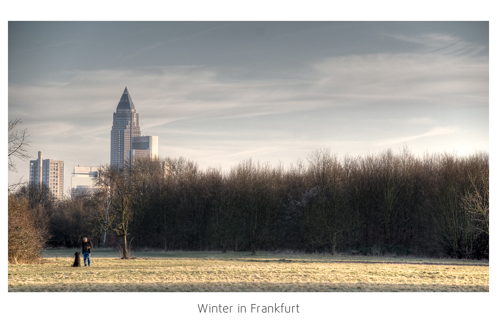 Frankfurt im Winter