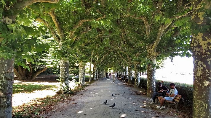 Frankfurt in My Eyes (16)