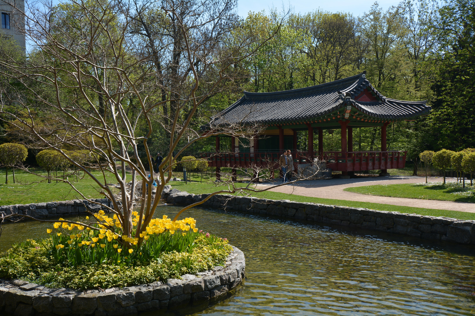 Frankfurt: Koreanischer Garten im Frühling