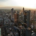 Frankfurt Main Skyline