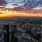 Frankfurt Main Tower at sunset (Germany)