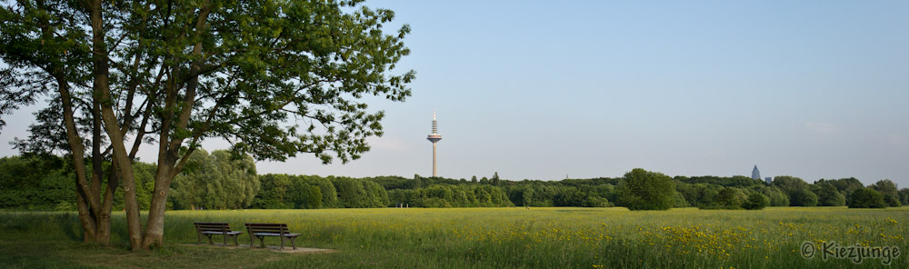 Frankfurt, Niddapark