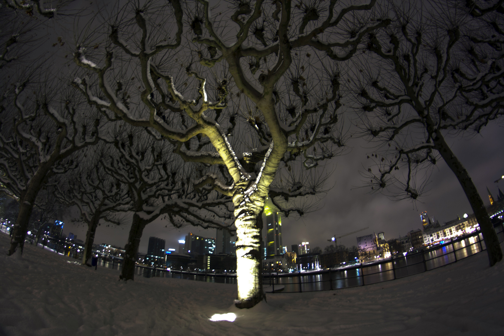 frankfurt @ night