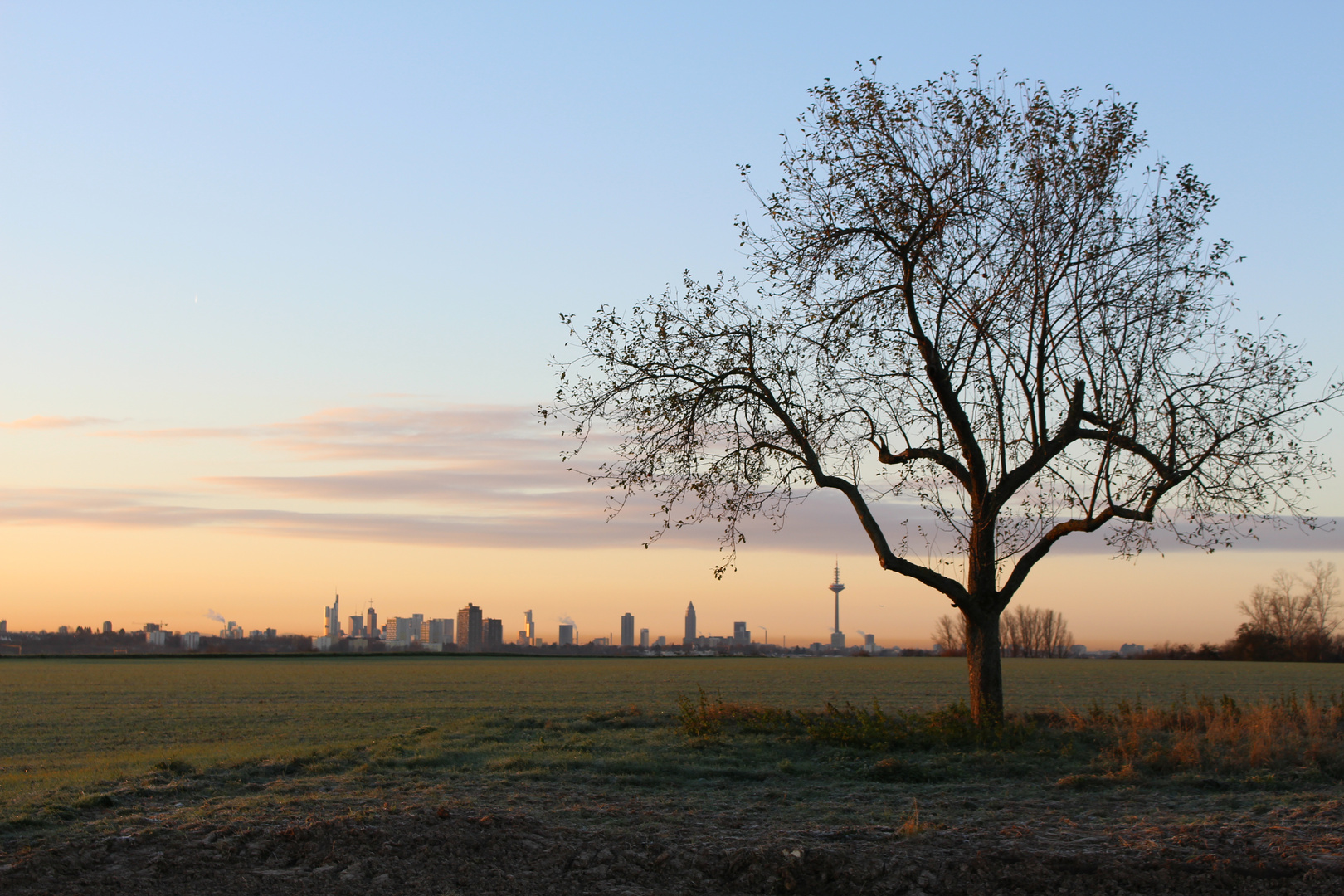 Frankfurt Novembermorgen