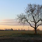 Frankfurt Novembermorgen