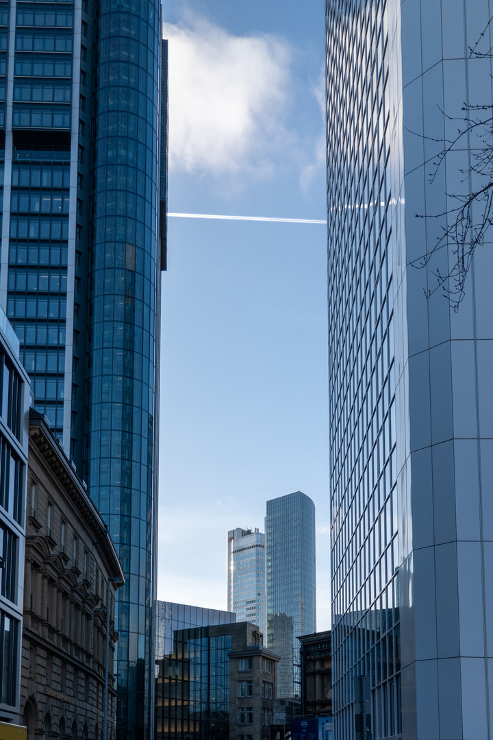 Frankfurt oder doch Mainhatten