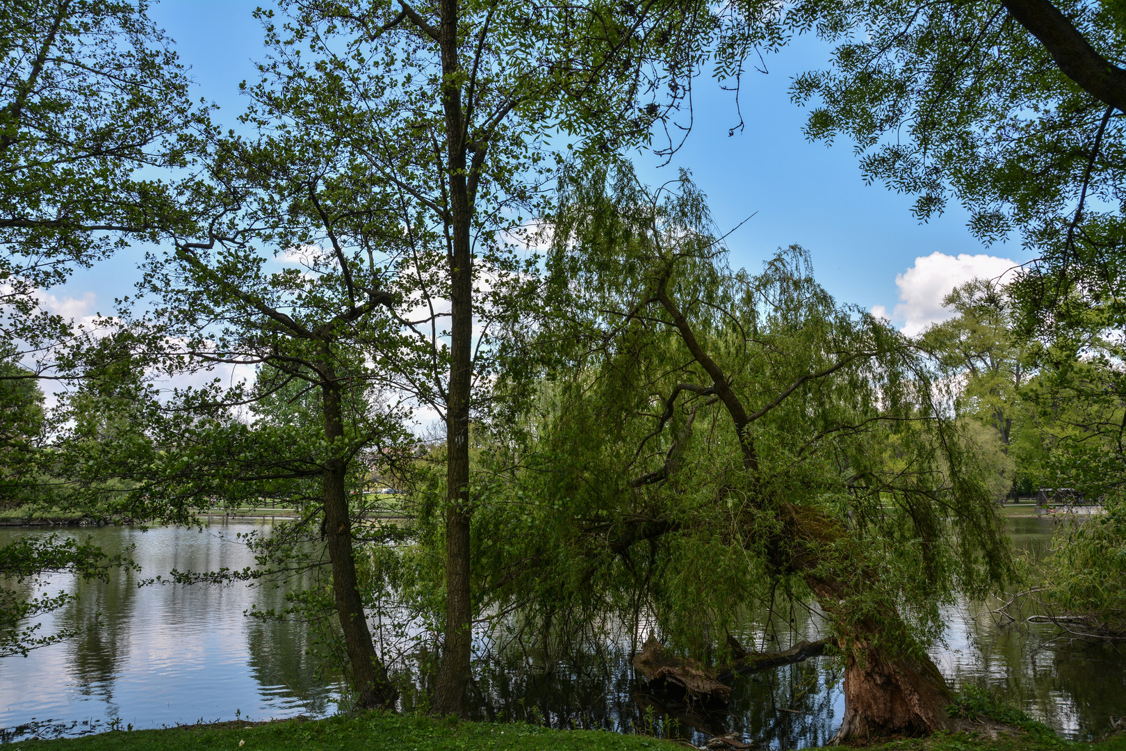 Frankfurt: Ostpark-Weiher im Frühling