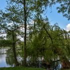 Frankfurt: Ostpark-Weiher im Frühling