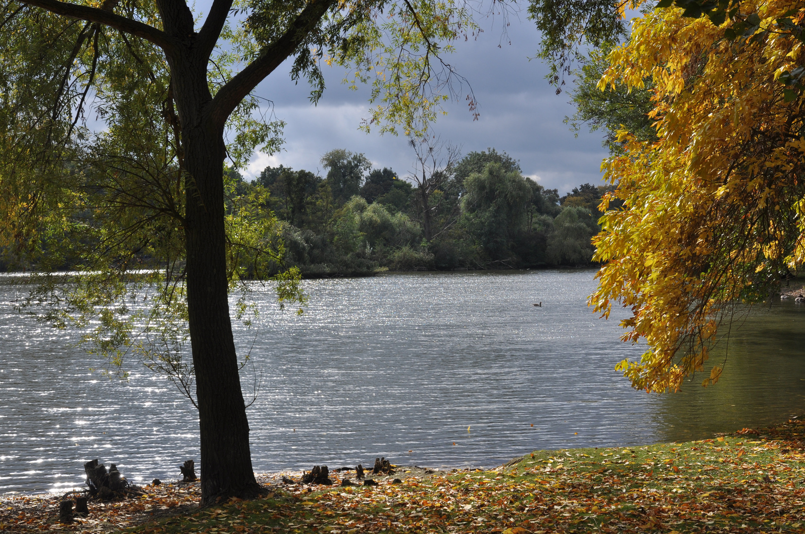 Frankfurt: Ostpark-Weiher im Herbst