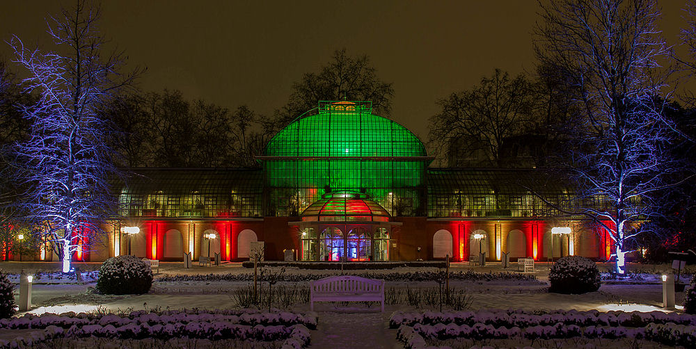 Frankfurt Palmengarten Ausstellung Winterlicht am 26.01.2013