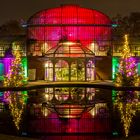 Frankfurt-Palmengarten Winterlichter Nr. 2