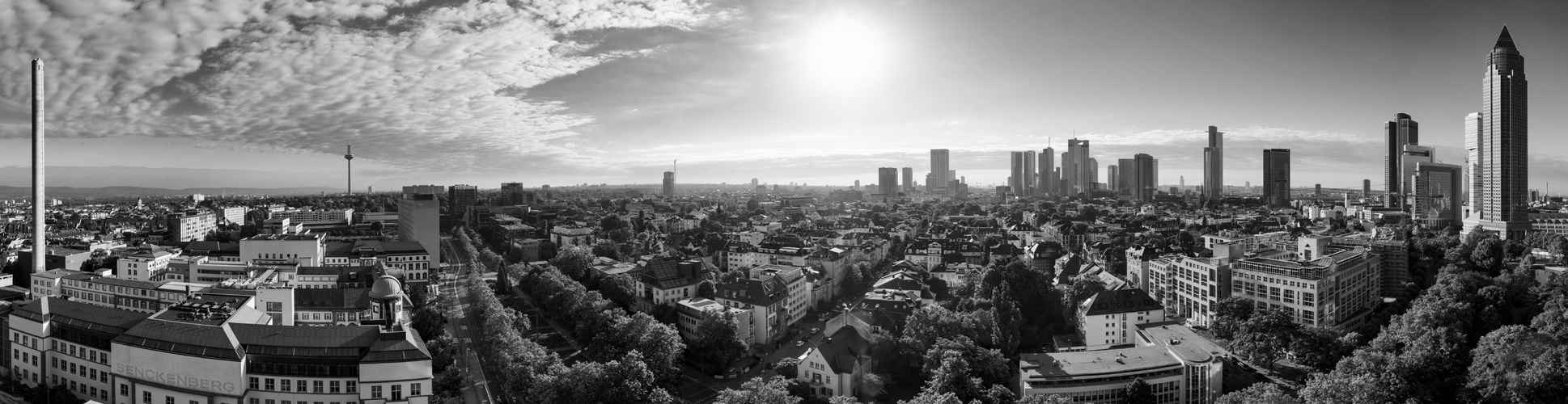 Frankfurt panorama 2