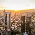 Frankfurt Panorama