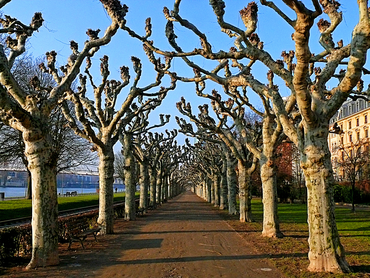 Frankfurt, Promenade am Untermainkai