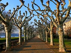 Frankfurt, Promenade am Untermainkai