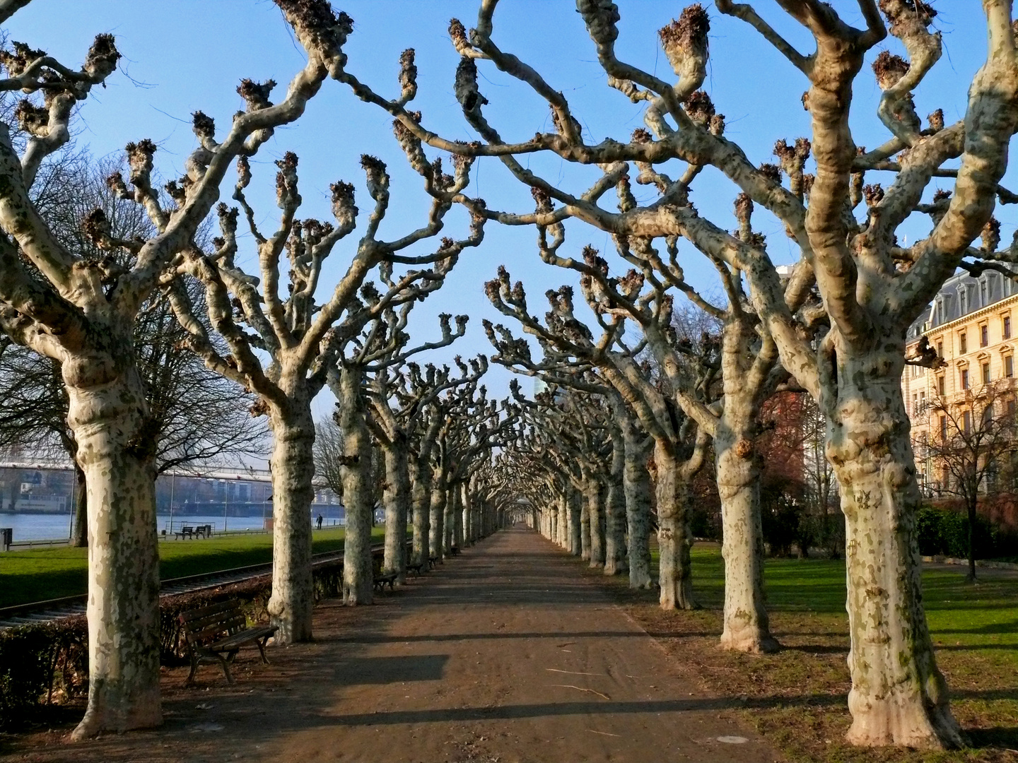 Frankfurt - Promenade am Untermainkai