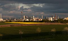 Frankfurt Skyline