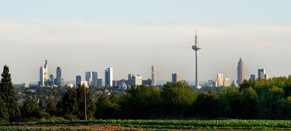 Frankfurt Skyline