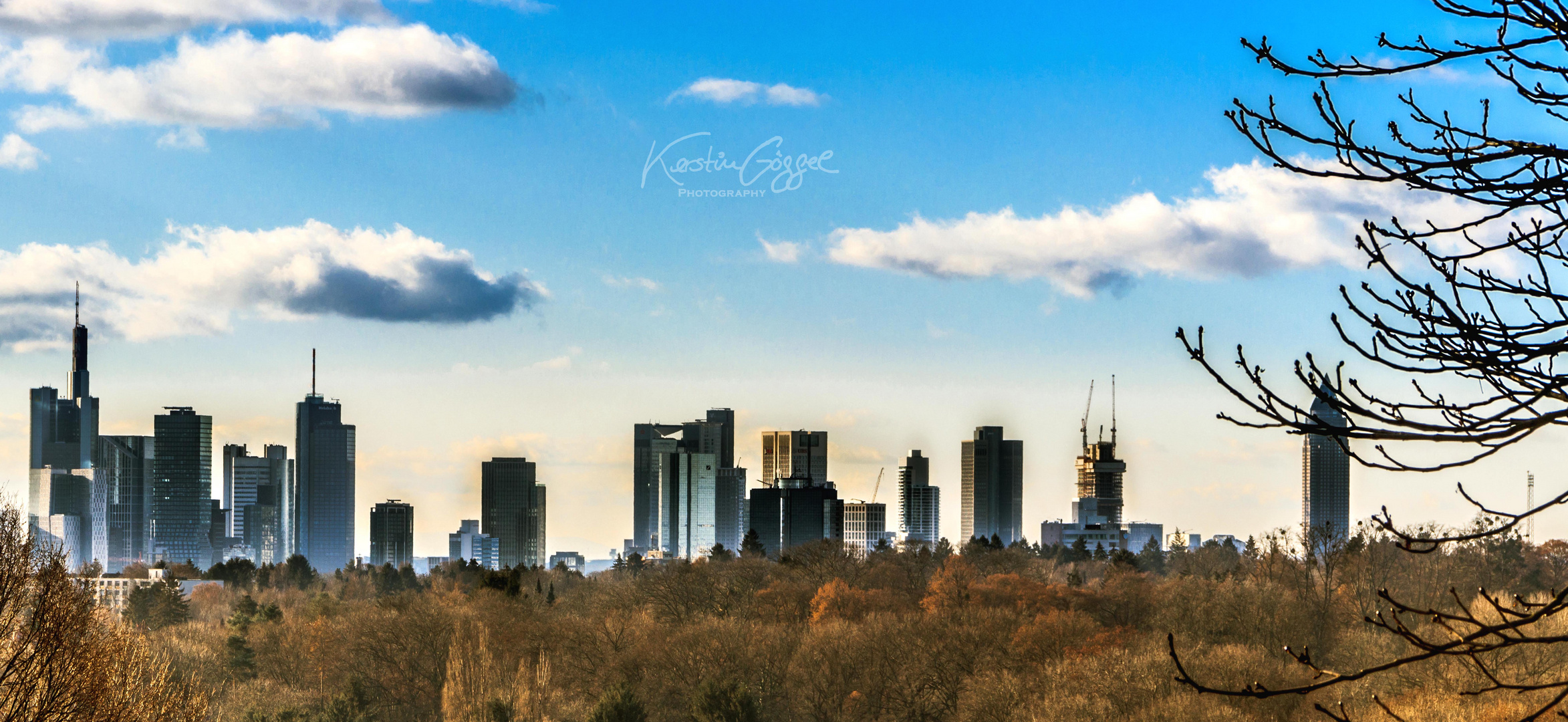 Frankfurt Skyline