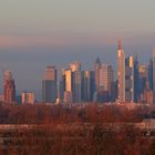 Frankfurt-Skyline im Morgenlicht