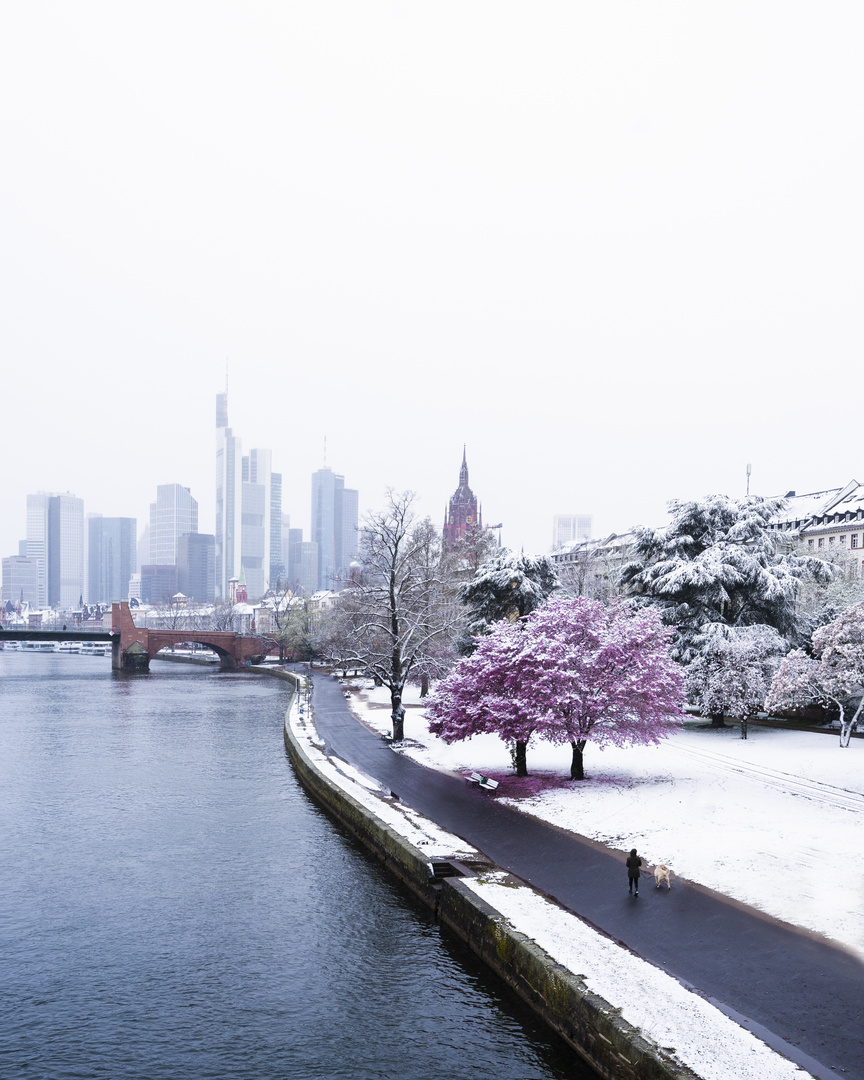 Frankfurt skyline Snee am April