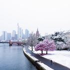 Frankfurt skyline Snee am April